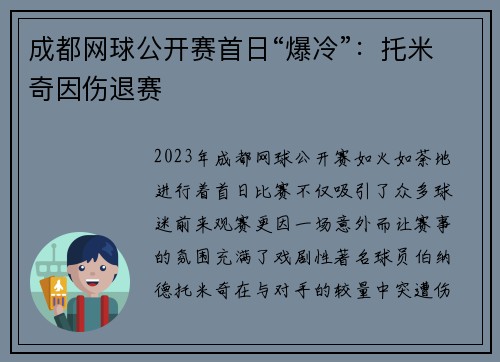 成都网球公开赛首日“爆冷”：托米奇因伤退赛