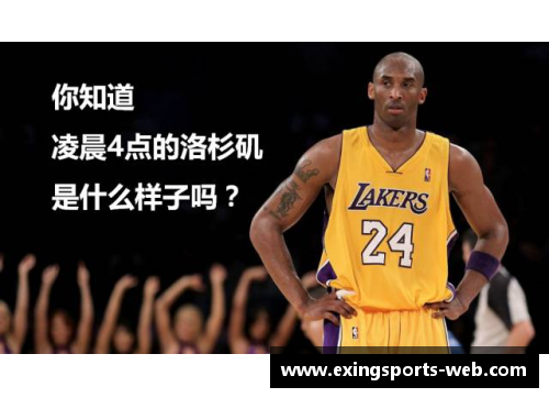 全方位探索：NBA回放的精彩瞬间与赛季重播